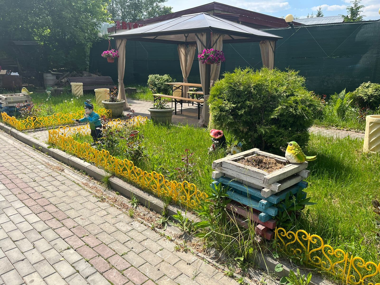 Превью 11